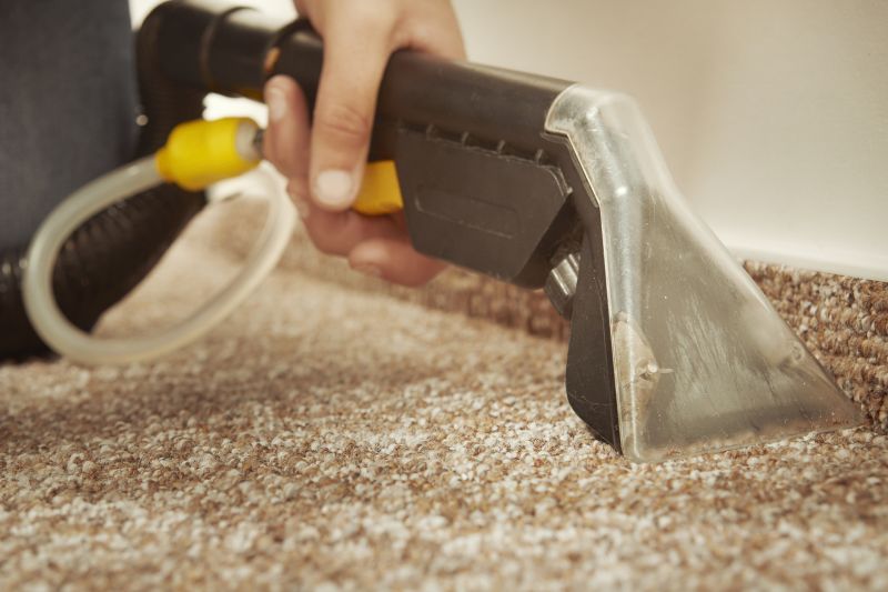 Carpet Cleaning And Stain Removal
