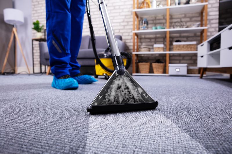 Carpet Cleaning Vs Rug Cleaning: What’s The Difference?