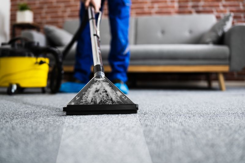 Carpet Cleaning Vs Rug Cleaning: What’s The Difference?